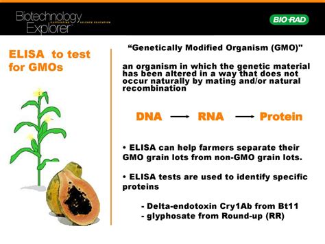 elisa test gmo|gmo testing for plants.